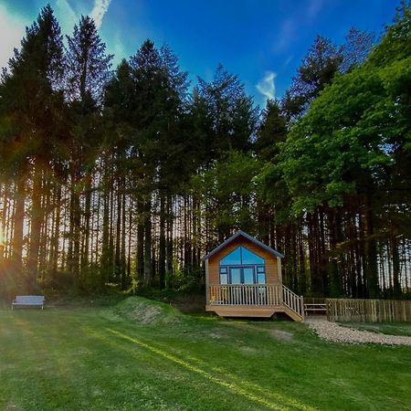 Cabin In The Woods - 1 Bedroom Lodge - Kilgetty Stepaside  Bagian luar foto