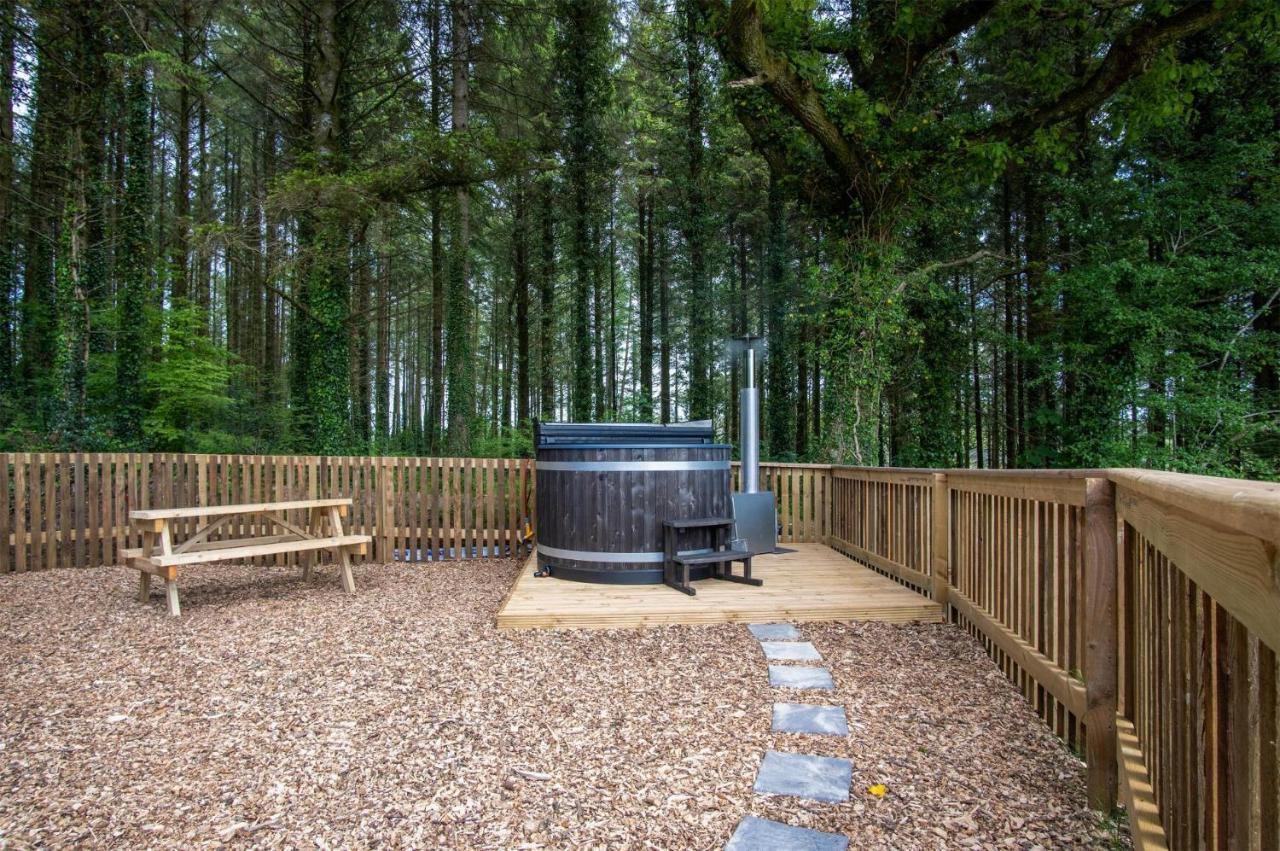 Cabin In The Woods - 1 Bedroom Lodge - Kilgetty Stepaside  Bagian luar foto