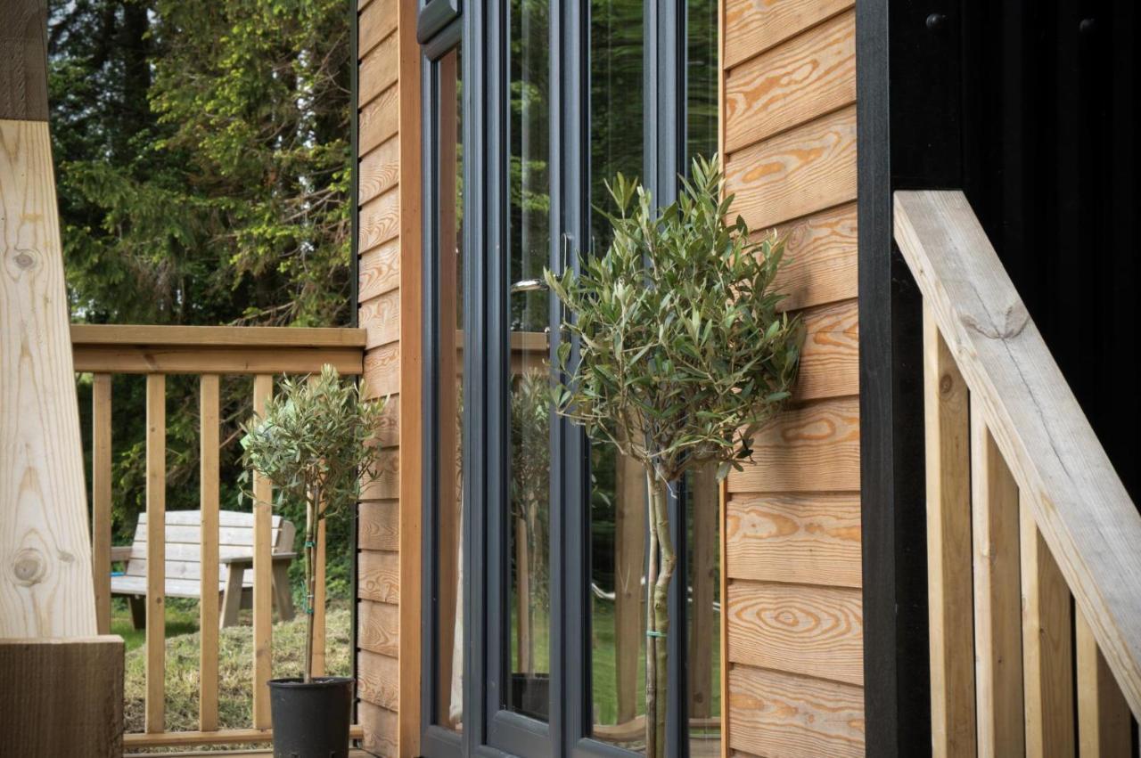 Cabin In The Woods - 1 Bedroom Lodge - Kilgetty Stepaside  Bagian luar foto