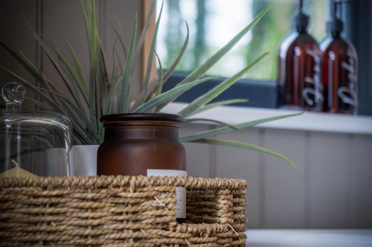 Cabin In The Woods - 1 Bedroom Lodge - Kilgetty Stepaside  Bagian luar foto