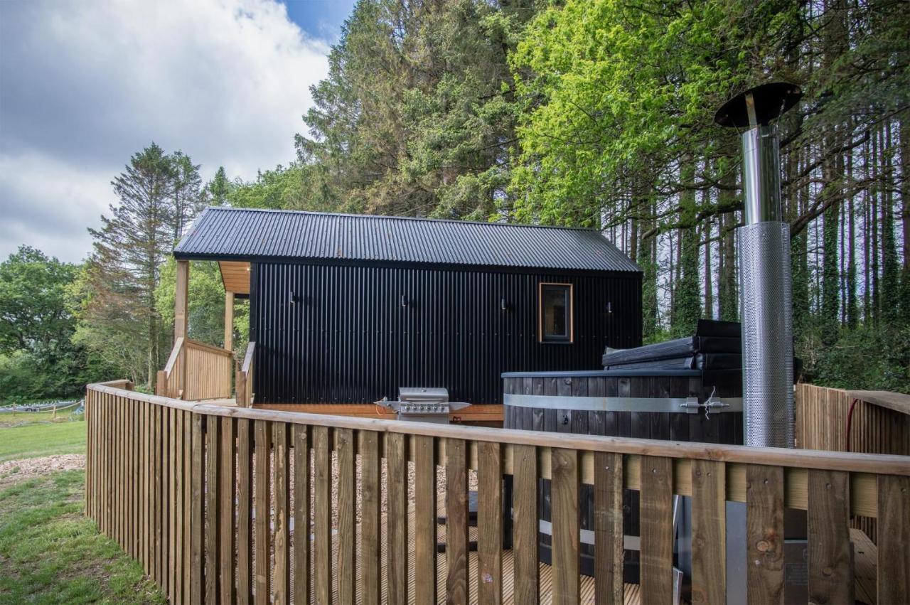 Cabin In The Woods - 1 Bedroom Lodge - Kilgetty Stepaside  Bagian luar foto