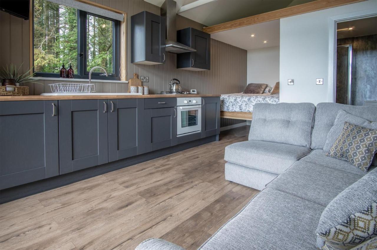 Cabin In The Woods - 1 Bedroom Lodge - Kilgetty Stepaside  Bagian luar foto