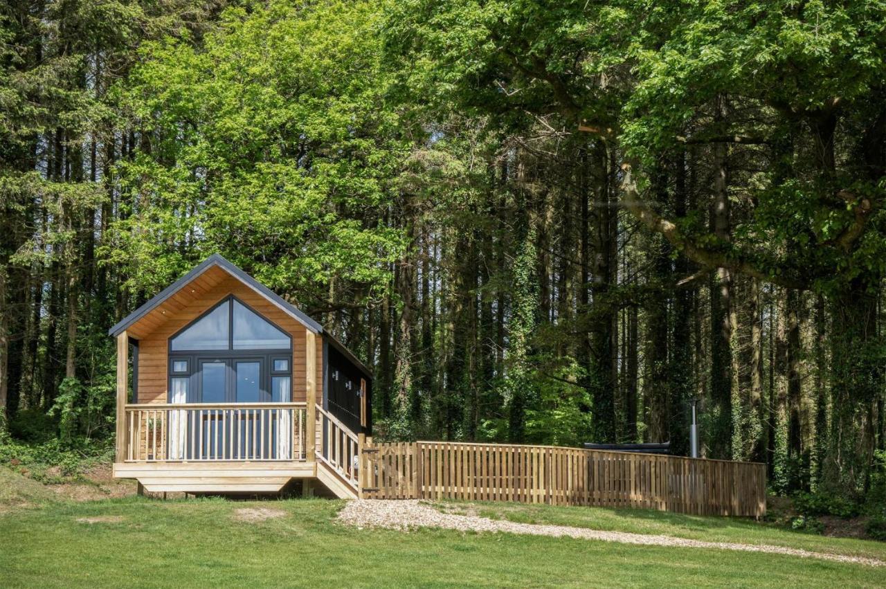 Cabin In The Woods - 1 Bedroom Lodge - Kilgetty Stepaside  Bagian luar foto