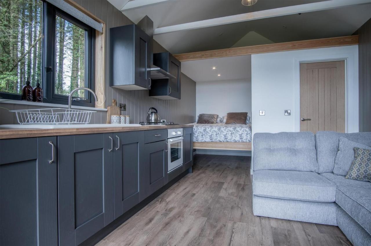 Cabin In The Woods - 1 Bedroom Lodge - Kilgetty Stepaside  Bagian luar foto