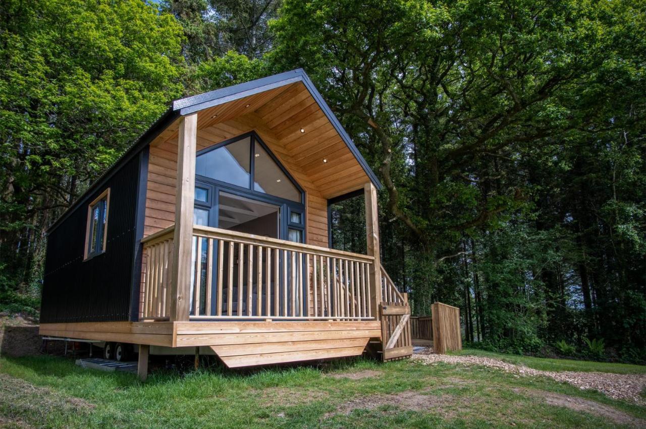 Cabin In The Woods - 1 Bedroom Lodge - Kilgetty Stepaside  Bagian luar foto