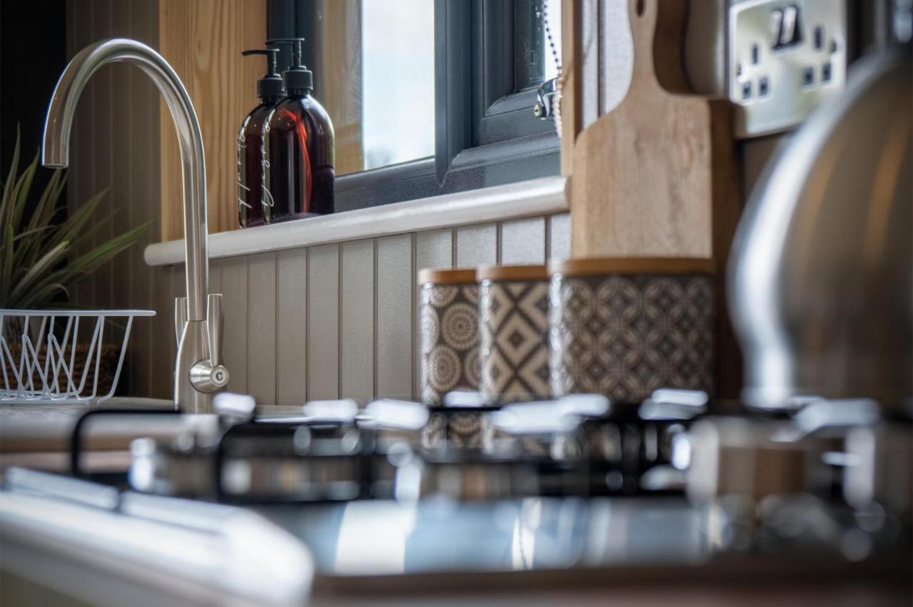 Cabin In The Woods - 1 Bedroom Lodge - Kilgetty Stepaside  Bagian luar foto